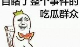 朝阳吃瓜群众一枚的微博